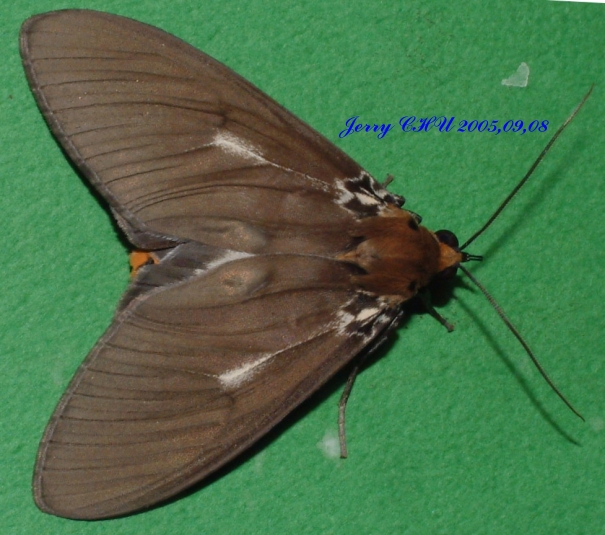 按此在新視窗瀏覽圖片