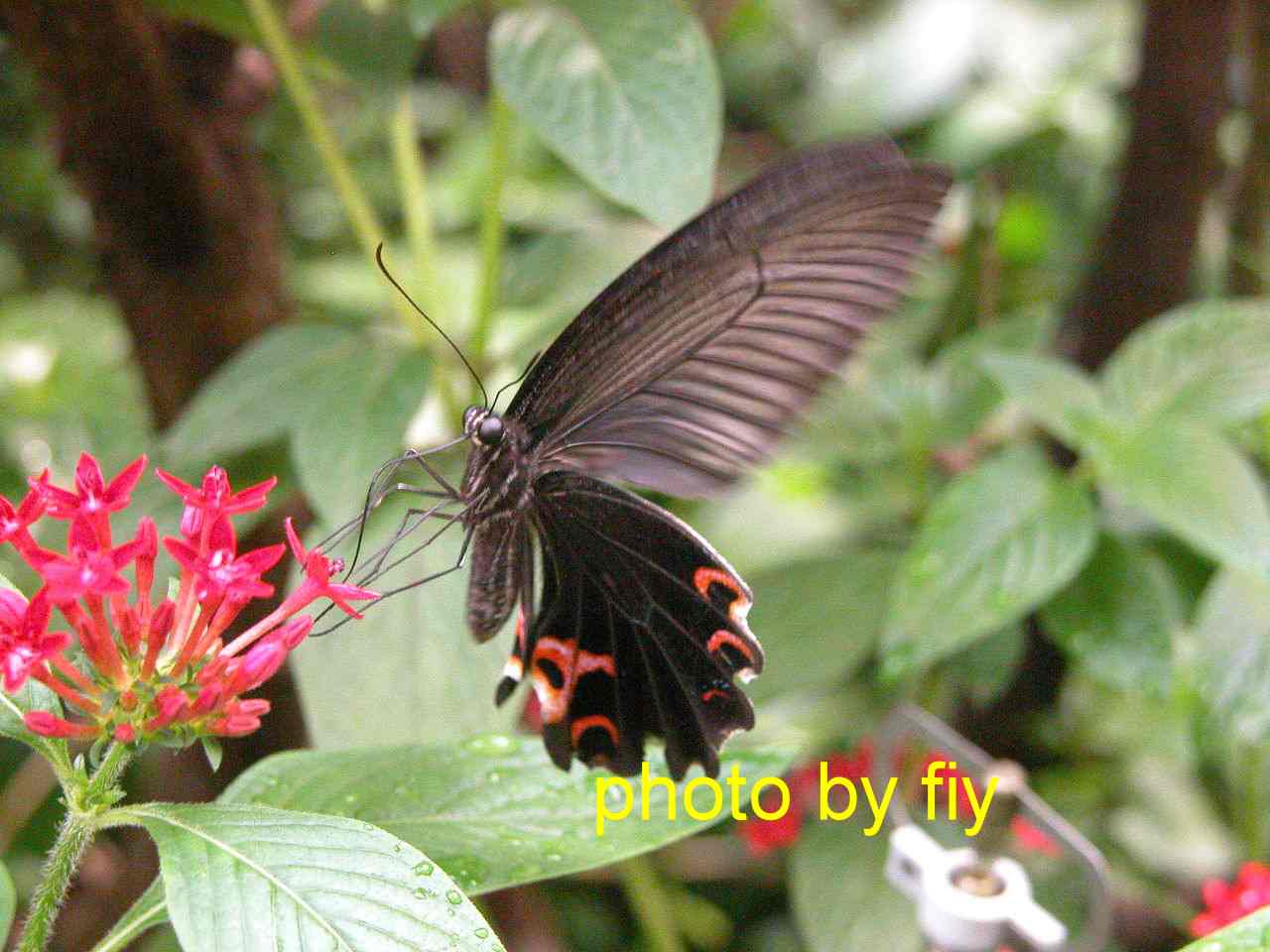 按此在新視窗瀏覽圖片