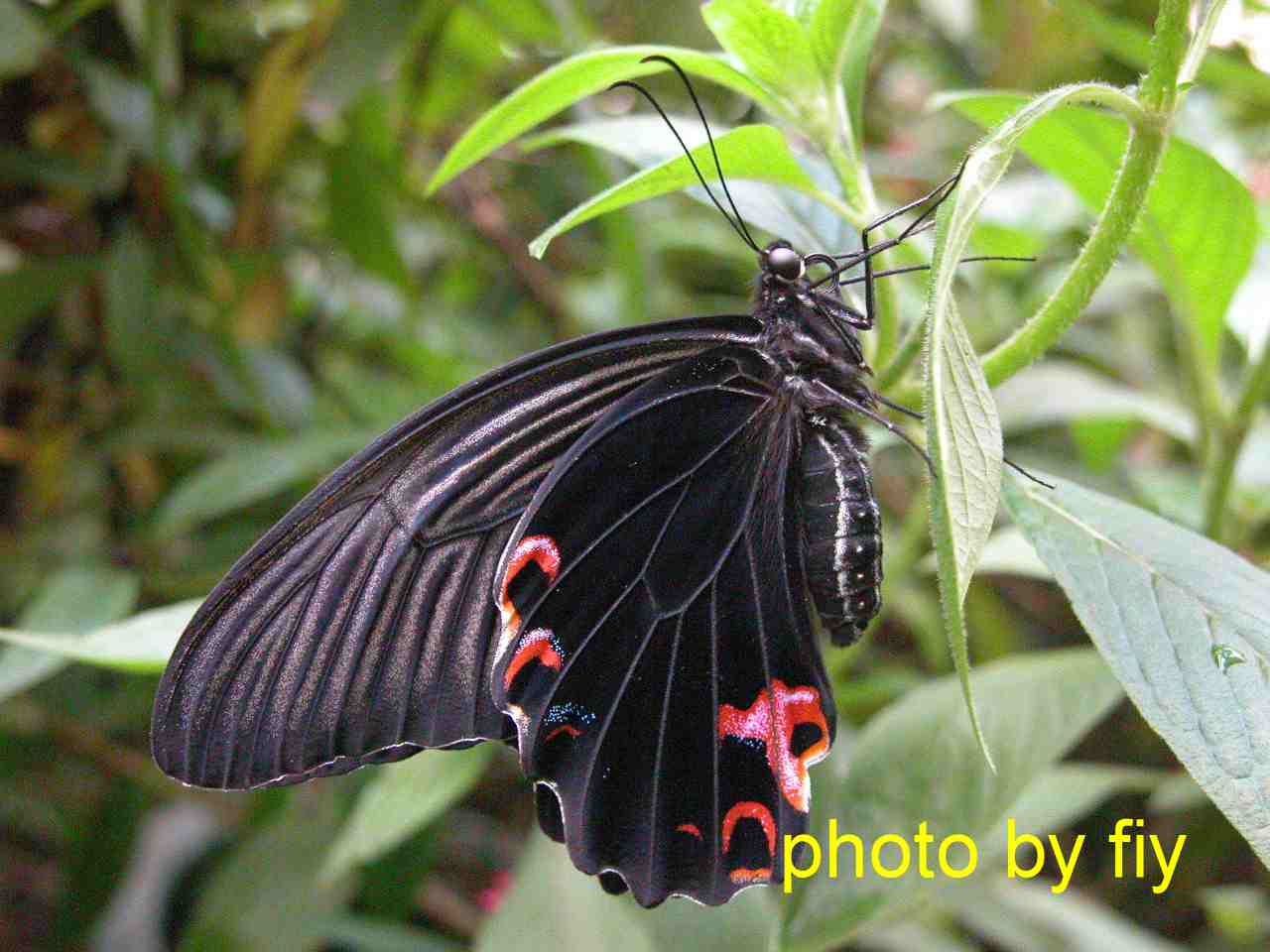 按此在新視窗瀏覽圖片