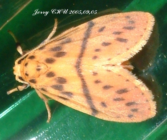 按此在新視窗瀏覽圖片