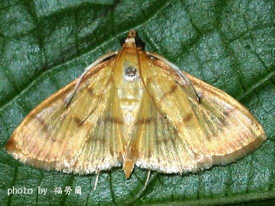 按此在新視窗瀏覽圖片