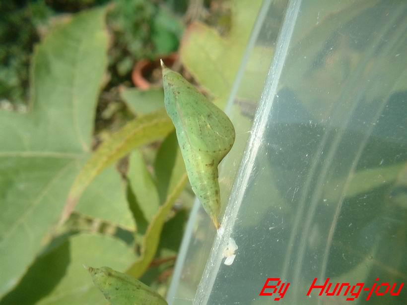 按此在新視窗瀏覽圖片