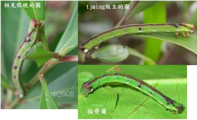 按此在新視窗瀏覽圖片