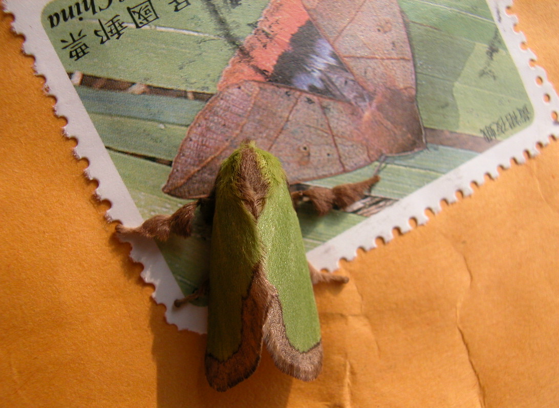 按此在新視窗瀏覽圖片