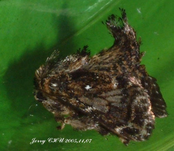 按此在新視窗瀏覽圖片