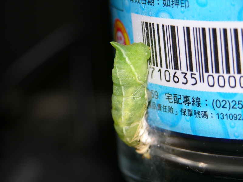 按此在新視窗瀏覽圖片