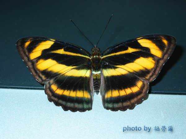 按此在新視窗瀏覽圖片