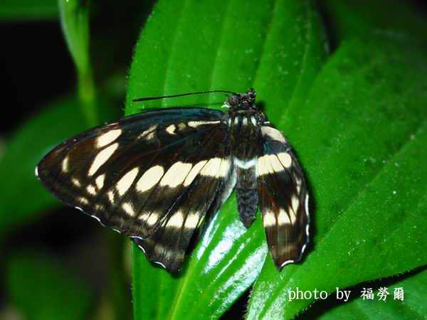 按此在新視窗瀏覽圖片