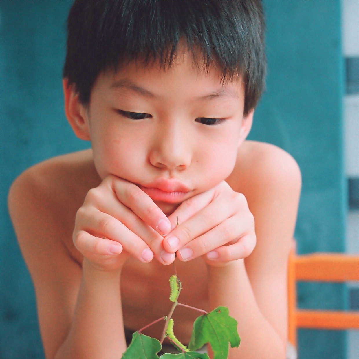 «ö¦¹¦b·sµøµ¡ÂsÄý¹Ï¤ù