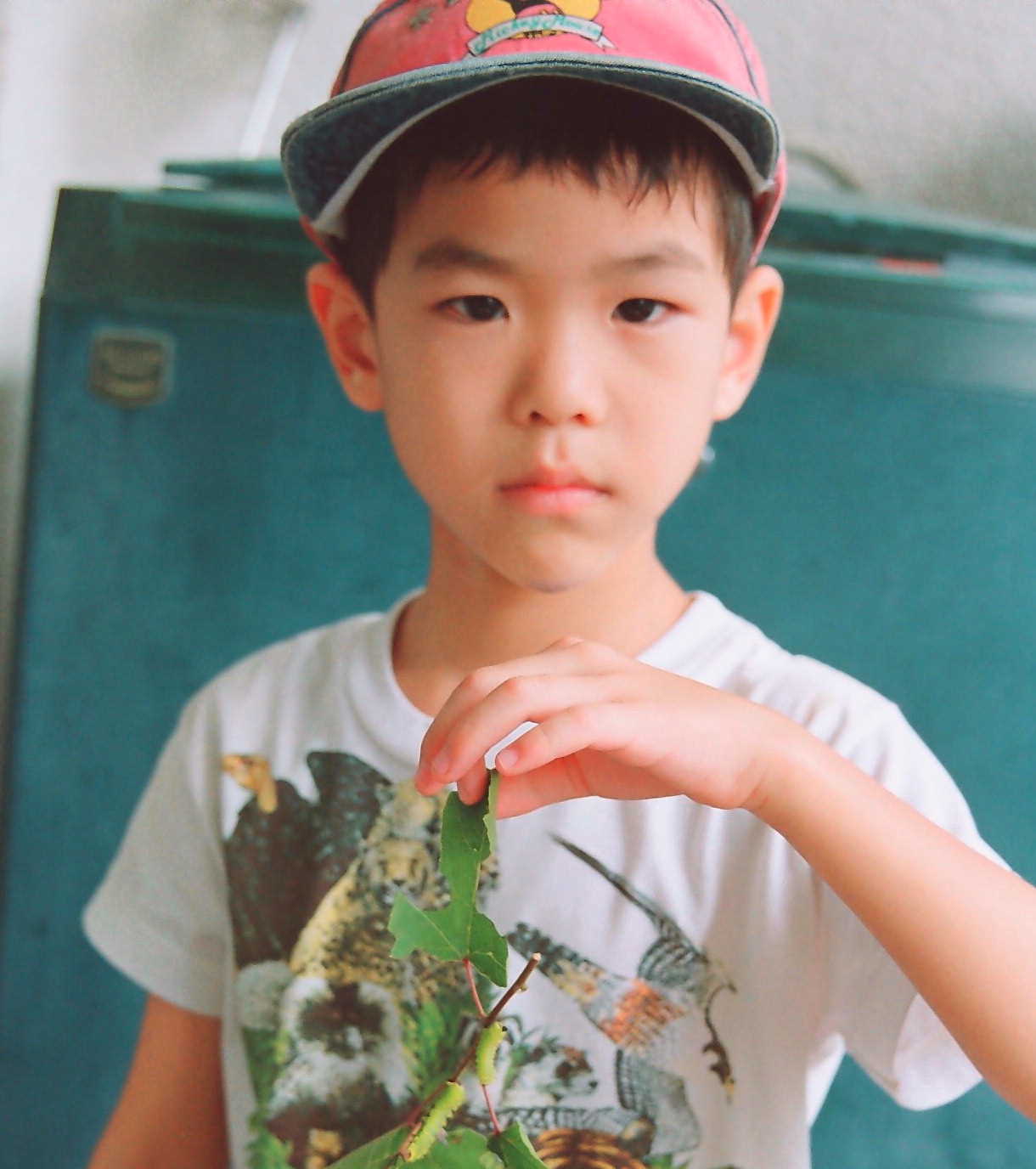 «ö¦¹¦b·sµøµ¡ÂsÄý¹Ï¤ù