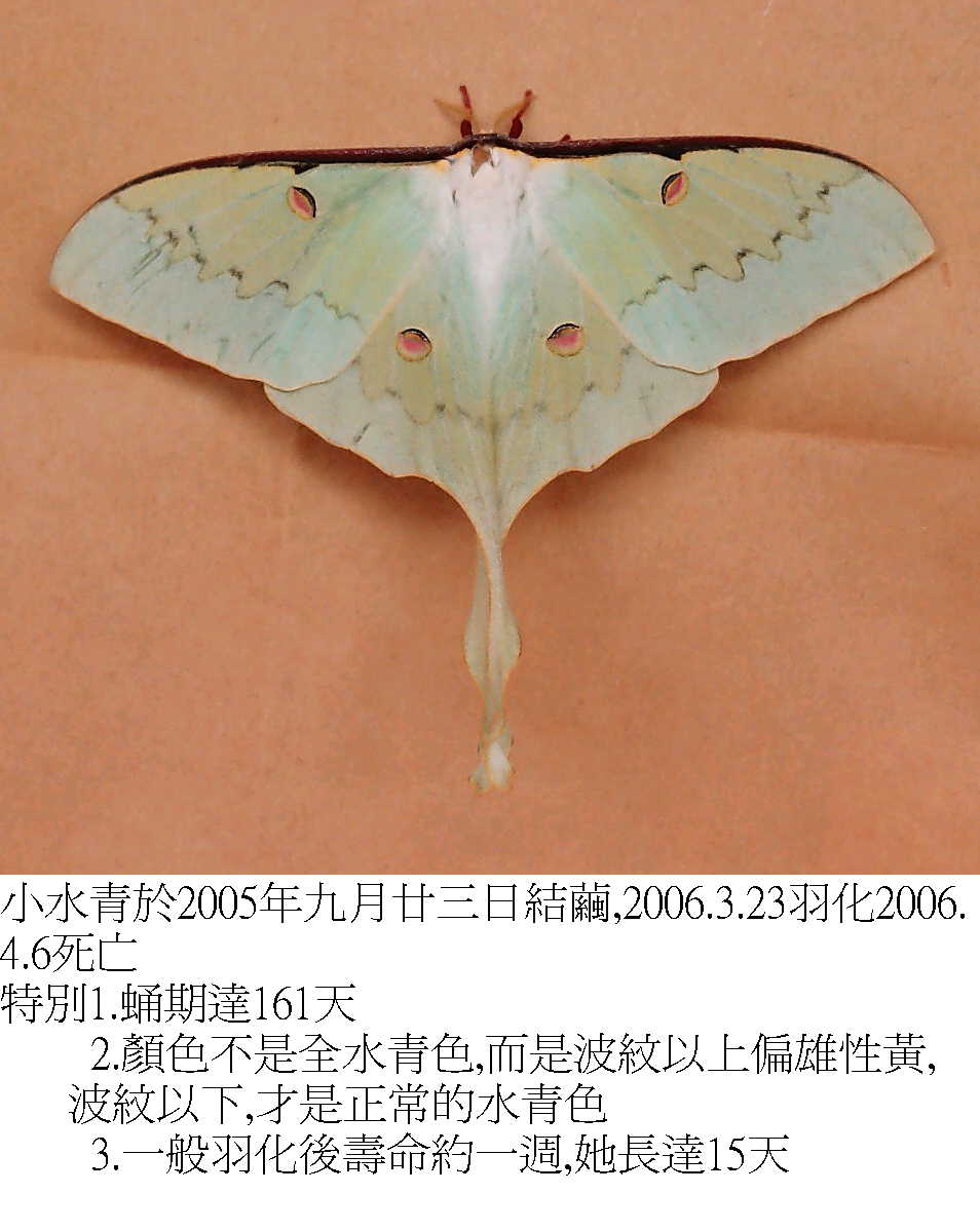 «ö¦¹¦b·sµøµ¡ÂsÄý¹Ï¤ù