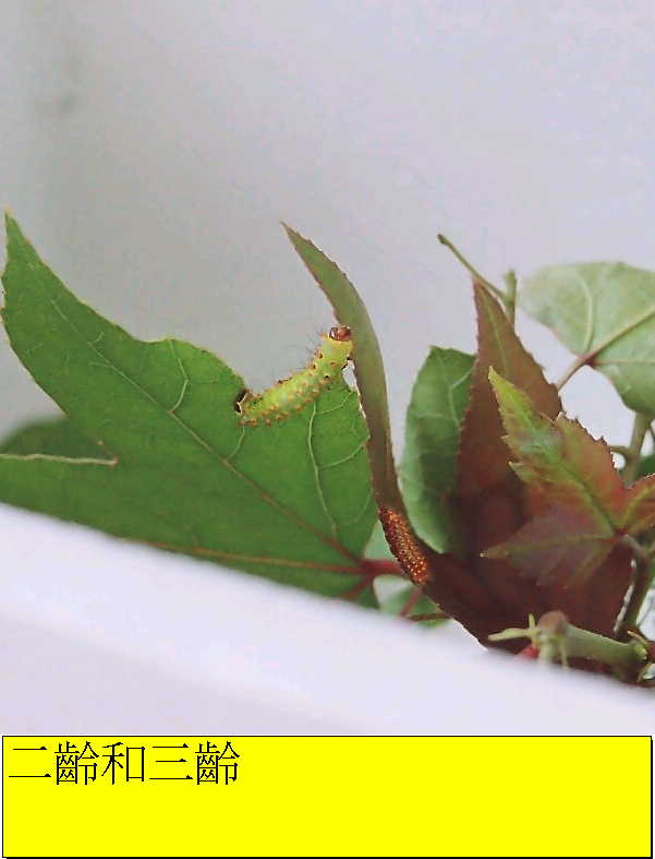 «ö¦¹¦b·sµøµ¡ÂsÄý¹Ï¤ù