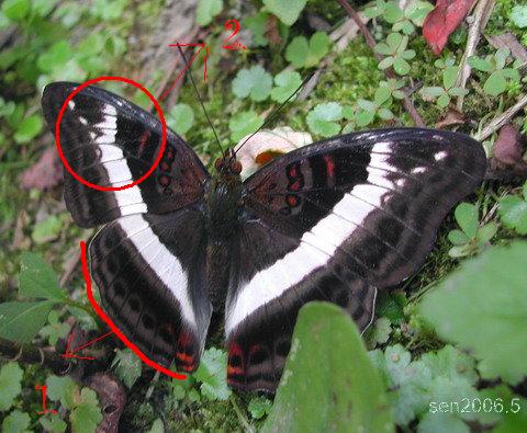 按此在新視窗瀏覽圖片