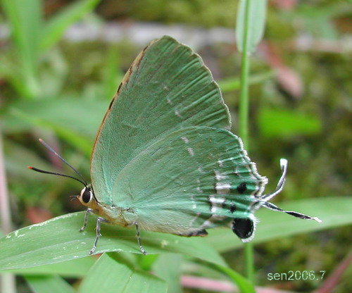 按此在新視窗瀏覽圖片