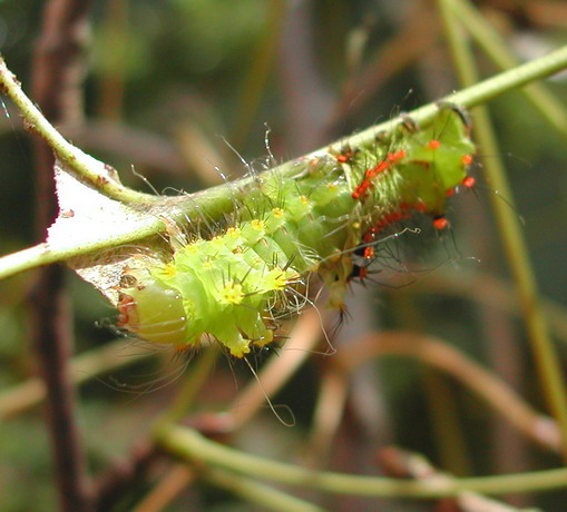 按此在新視窗瀏覽圖片