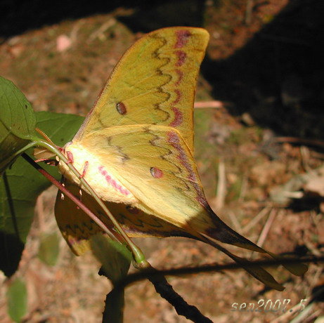 按此在新視窗瀏覽圖片