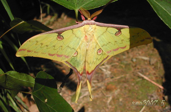 按此在新視窗瀏覽圖片