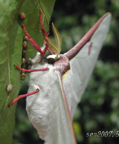 按此在新視窗瀏覽圖片