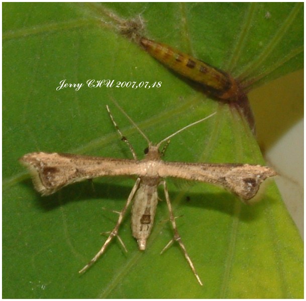 按此在新視窗瀏覽圖片