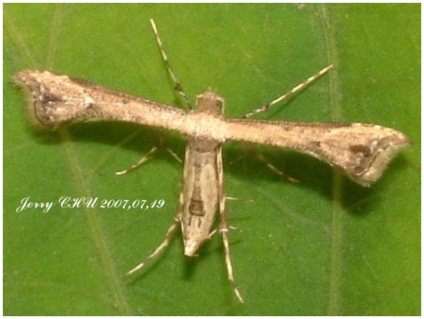 按此在新視窗瀏覽圖片