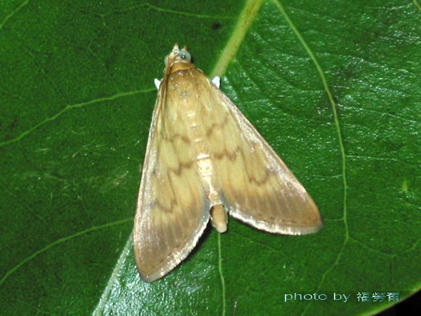 按此在新視窗瀏覽圖片