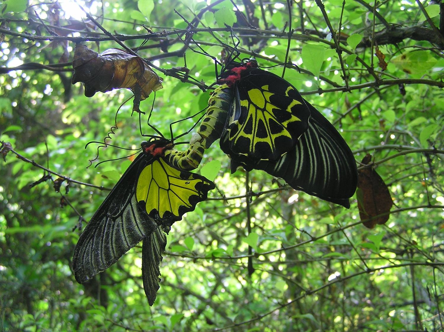 «ö¦¹¦b·sµøµ¡ÂsÄý¹Ï¤ù