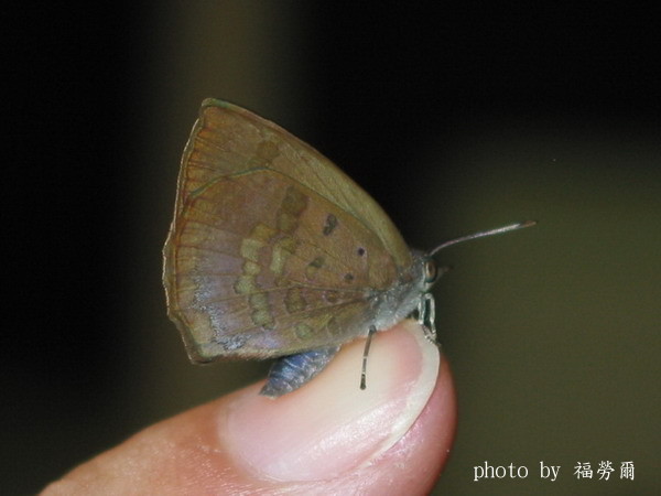 按此在新視窗瀏覽圖片