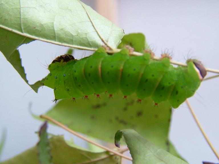 «ö¦¹¦b·sµøµ¡ÂsÄý¹Ï¤ù