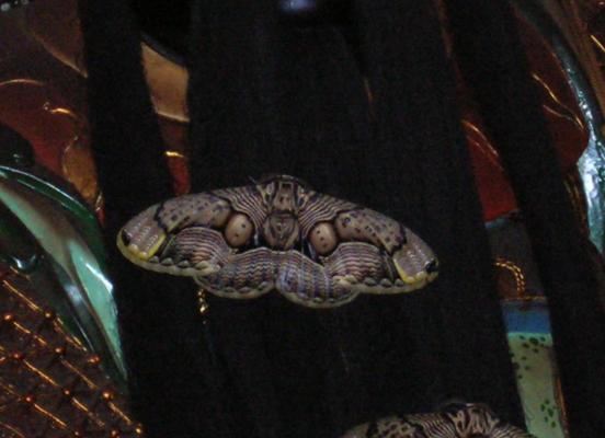 按此在新視窗瀏覽圖片