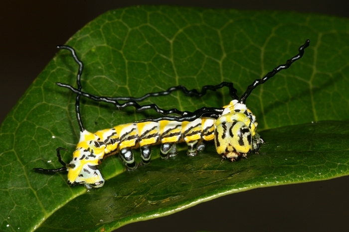 按此在新視窗瀏覽圖片