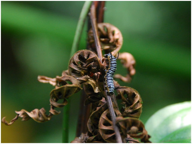 «ö¦¹¦b·sµøµ¡ÂsÄý¹Ï¤ù