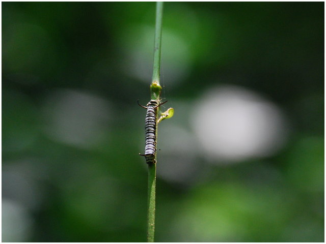 «ö¦¹¦b·sµøµ¡ÂsÄý¹Ï¤ù