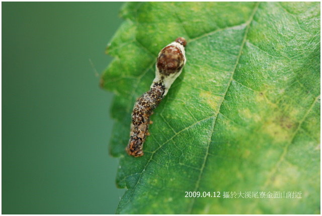 按此在新視窗瀏覽圖片