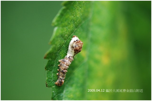 按此在新視窗瀏覽圖片