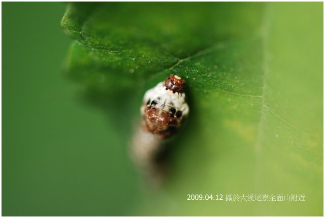 按此在新視窗瀏覽圖片