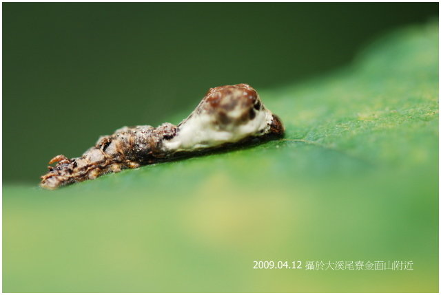 按此在新視窗瀏覽圖片