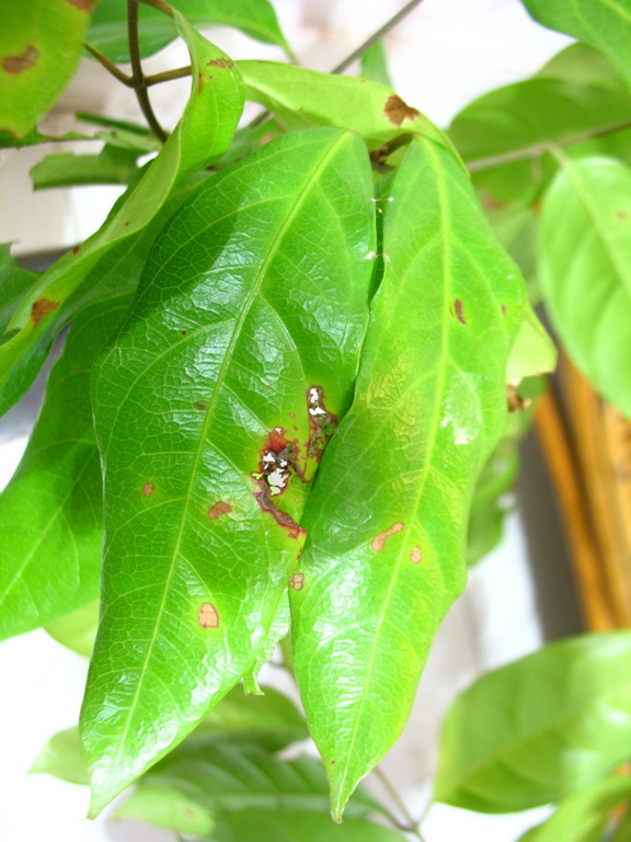 «ö¦¹¦b·sµøµ¡ÂsÄý¹Ï¤ù