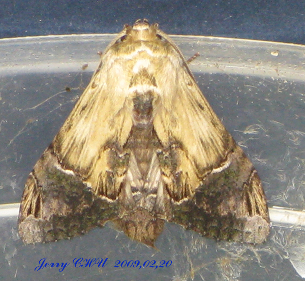 按此在新視窗瀏覽圖片