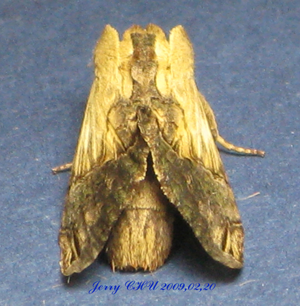 按此在新視窗瀏覽圖片