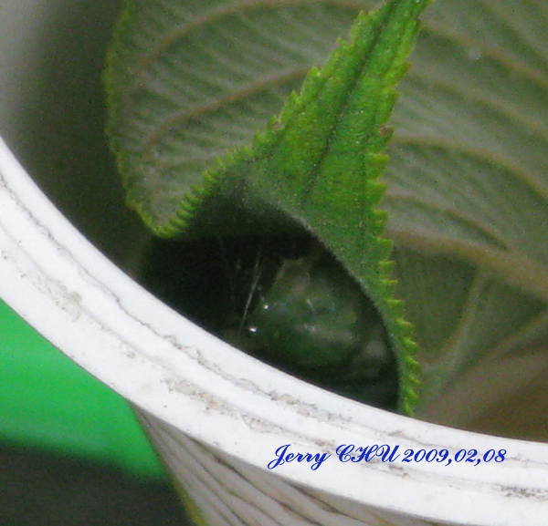 按此在新視窗瀏覽圖片