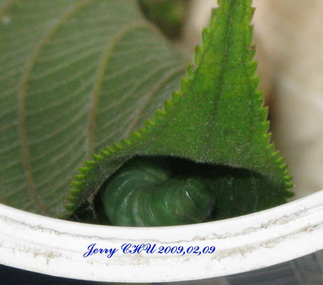 按此在新視窗瀏覽圖片