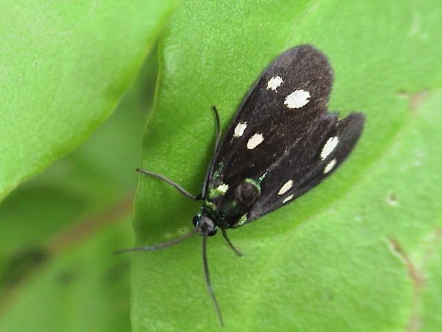 按此在新視窗瀏覽圖片