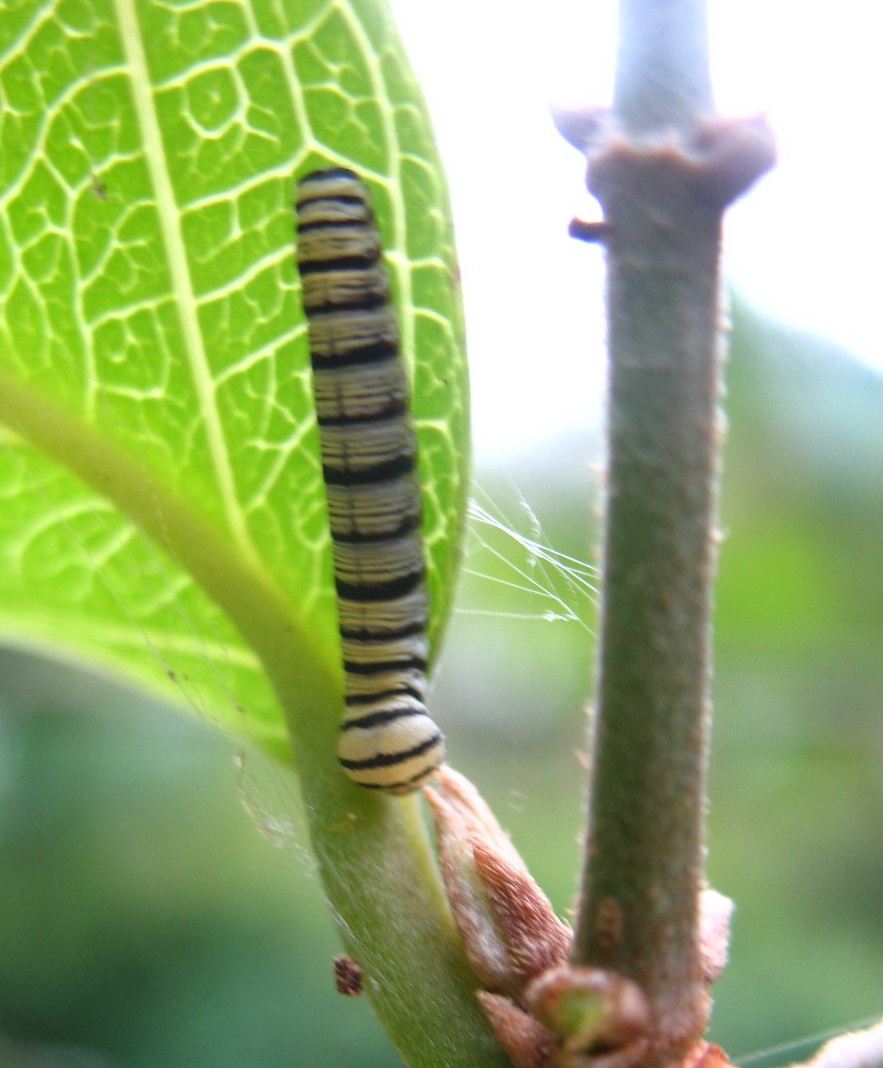 «ö¦¹¦b·sµøµ¡ÂsÄý¹Ï¤ù