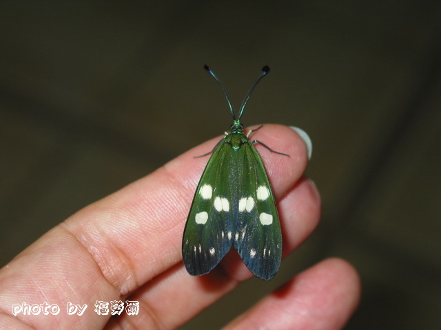 按此在新視窗瀏覽圖片
