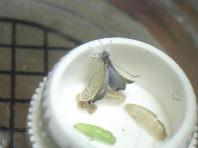 按此在新視窗瀏覽圖片