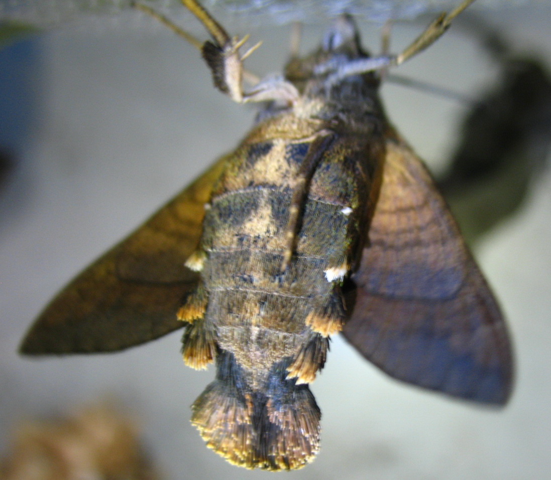 «ö¦¹¦b·sµøµ¡ÂsÄý¹Ï¤ù