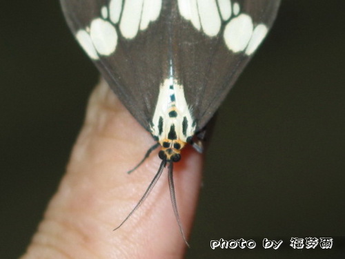 按此在新視窗瀏覽圖片