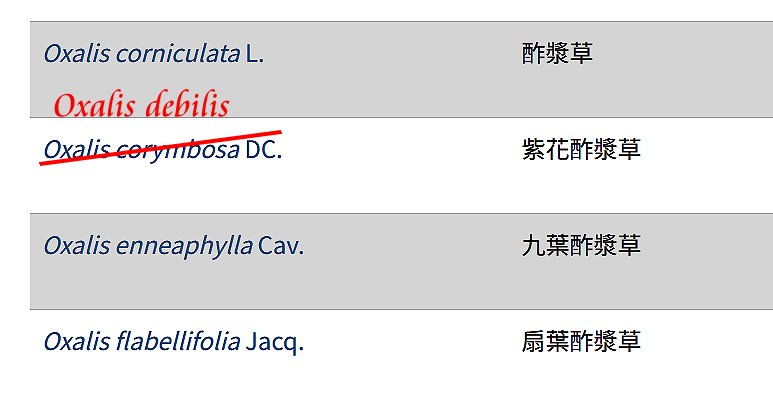 «ö¦¹¦b·sµøµ¡ÂsÄý¹Ï¤ù