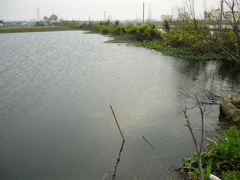 按此在新視窗瀏覽圖片