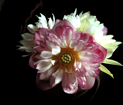 按此在新視窗瀏覽圖片